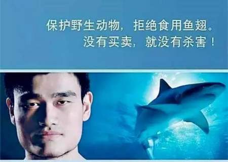 公益代言
