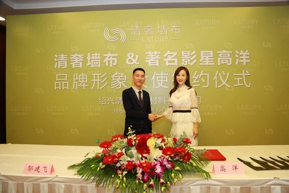 高洋代言的墙布