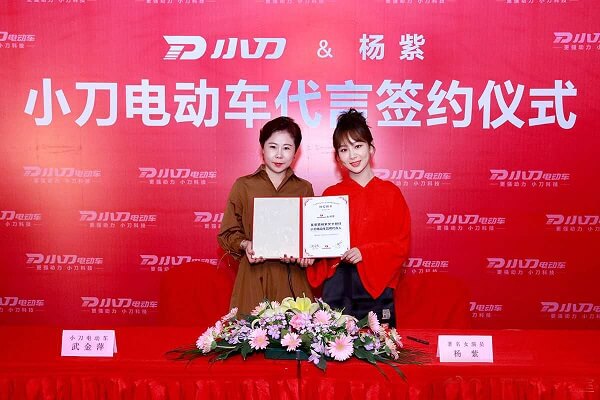杨紫代言的电动车